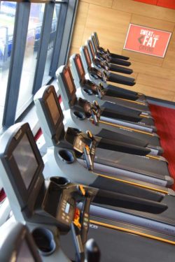 Image of Glo Gym Matrix treadmills