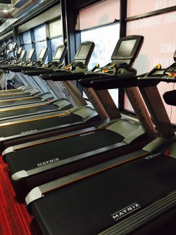 Glo Gym Treadmills