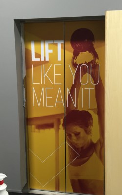 Glo gym lift vinyl